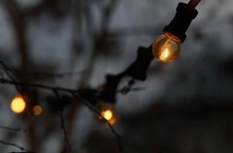 Halogen incandescent bulb Foto stock