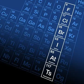 The halogens, a group of chemically related elements in the periodic table Stock Illustration