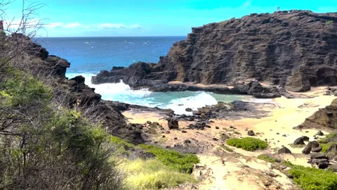 Halona Blowhole Stock Footage 259834003