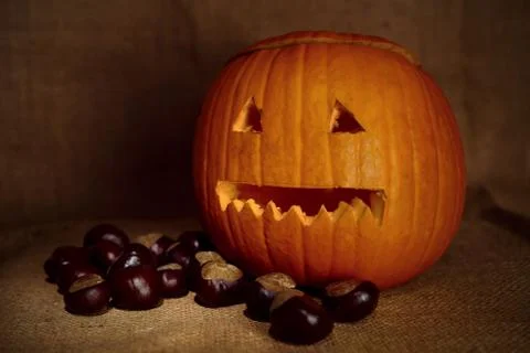 Haloween Stock Photos