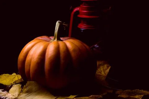 Haloween pumpkin Stock Photos