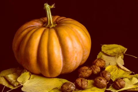 Haloween pumpkin Stock-Fotos