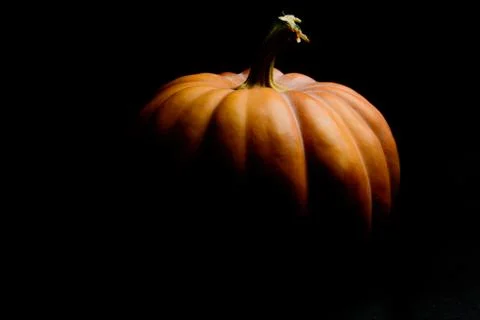 Haloween pumpkin Stock-Fotos
