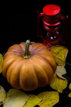 Haloween pumpkin Stock Photos