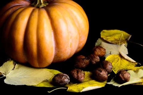 Haloween pumpkin Stock Photos