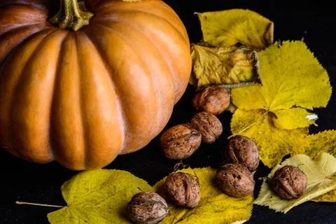 Haloween pumpkin Stock Photos