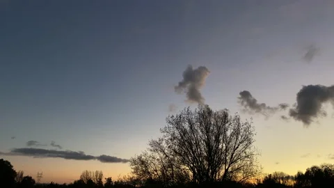 Haloween Sky with sparrows Stock Footage 164550068