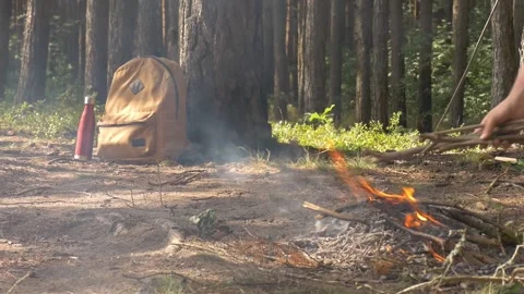 Halt in the forest, man throws dry branches in the fire. Video stock 138132125
