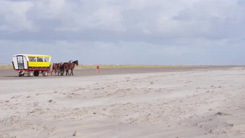 Halting stopping horses with wagon on the beach Stock Footage