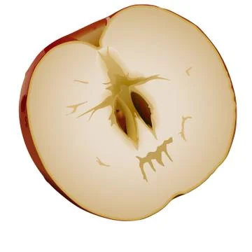 Halved Apple Stock Illustration