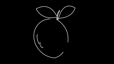 Halved citrus fruit with leaf line animation design Stock Footage 324768916