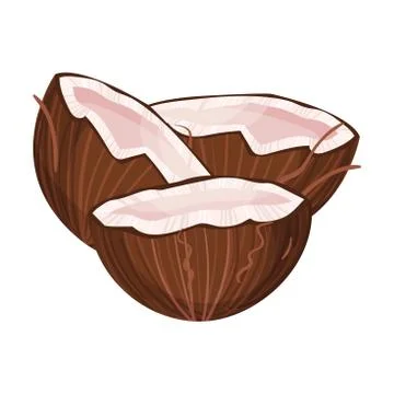 Halved Coconut with Hard Shell and Fibrous Husk Showing White Inner Flesh Vector Stock Illustration