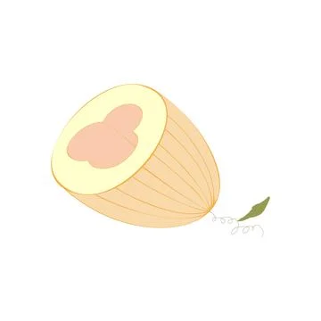 A halved melon colored Иллюстрация