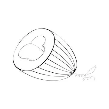 A halved melon Illustrazione stock