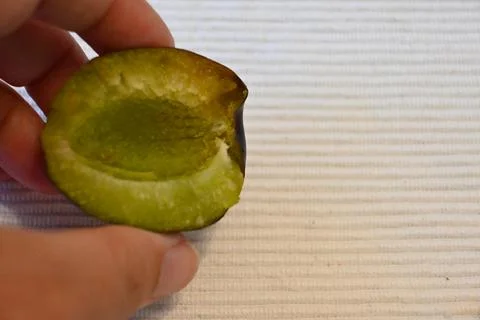 Halved plum held in hand Stock Photos