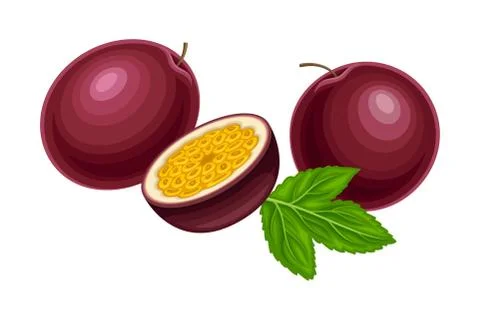 Halved Purple Passion Fruit with Thick Pith and Numerous Seeds Rested with Green Stock Illustration