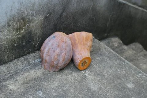 Halved raw orange pumpkin resting on rough grey concrete outdoor steps Stock Photos