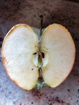 Halved rotten apple . Stock Photos