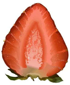 Halved Strawberry Stock Illustration
