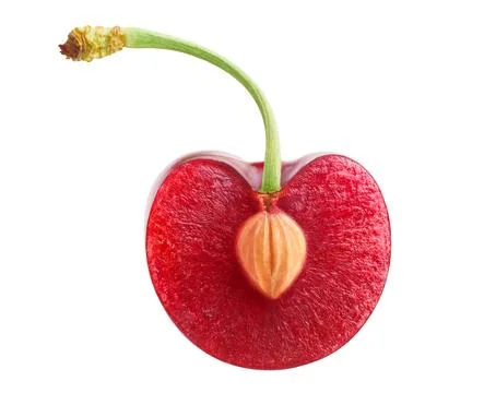 Halved sweet cherry with pit and curved stem isolated on white. Foto stock
