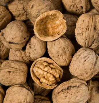 Halved walnut Stock Photos