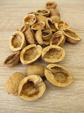Halved walnut shells Stock Photos