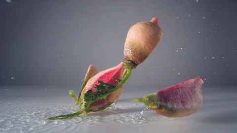 Halved white radishes falling on water surface. Slow Motion. Stock Footage 128772018