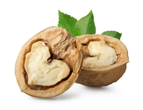 Halves of walnut Stock Photos