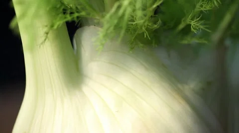 Halving a fennel bulb Stock Footage 8574302