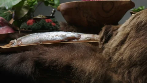 Ham of raw meat, fresh fish, wild berry on a table covered with bearskin Stock Footage 205595502