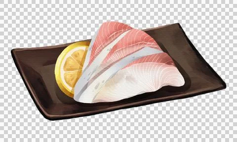 Hamachi yellowtail sashimi with lemon slice on black plate, realistic hand-.. Stock Illustration