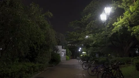 Hamacho Park Night View Stock-Footage 147710081