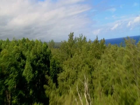 Hamakua Coastline Stock-Footage 22242730