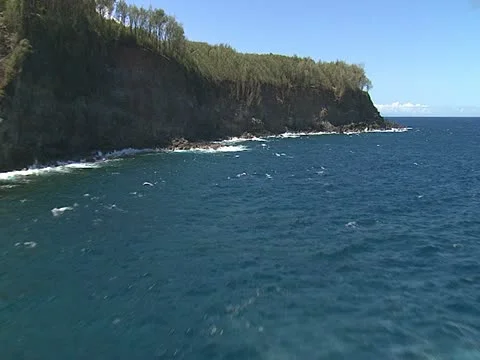 Hamakua Coastline Video stock 22243333