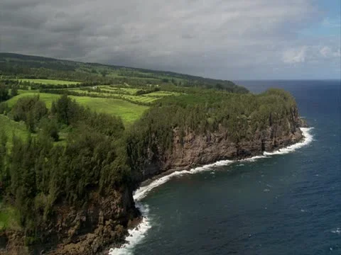 Hamakua Coastline Video stock 22243561