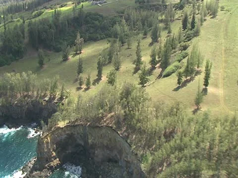 Hamakua Coastline Stock-Footage 22243875