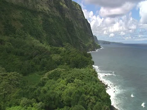 Hamakua Coastline Stock-Footage 22243879