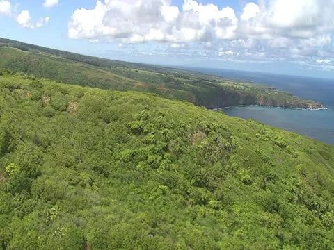 Hamakua Coastline Stock-Footage 22243891