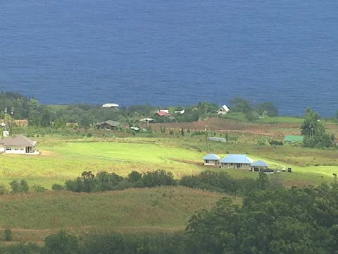 Hamakua Coastline Video stock 22244164