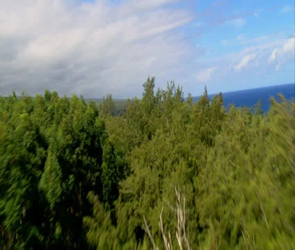 Hamakua Coastline Video stock 22689915