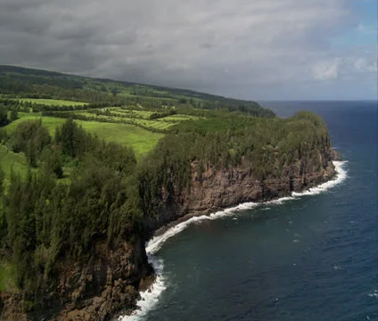 Hamakua Coastline Video stock 22730481
