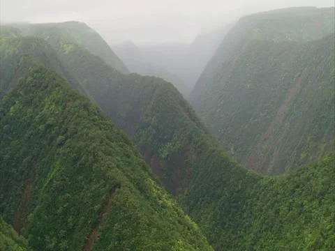 Hamakua Valley Stock-Footage 22242888