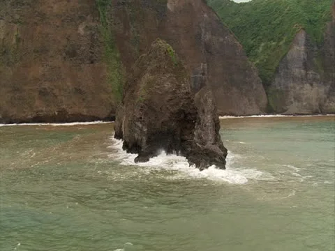 Hamakua Valley Stock-Footage 22242899