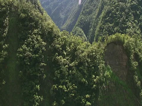 Hamakua Valley 스톡 동영상 22243592