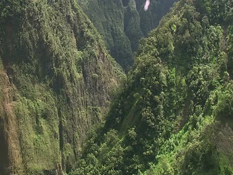 Hamakua Valley Stock-Footage 22243594