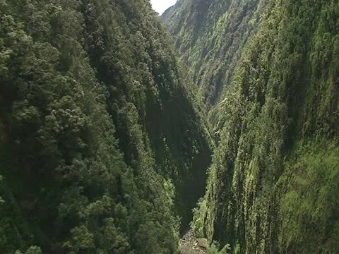 Hamakua Valley Video stock 22243596