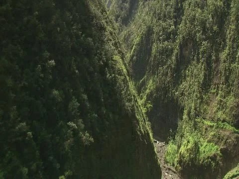 Hamakua Valley Stock Footage 22243597