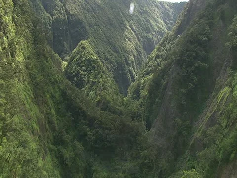 Hamakua Valley Video stock 22243598