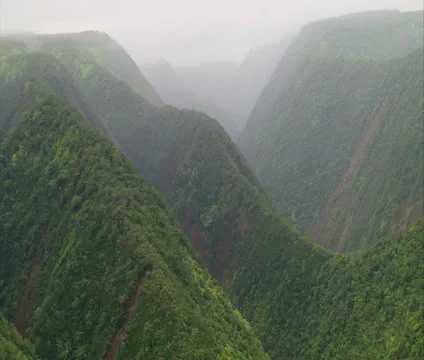 Hamakua Valley Video stock 22705718