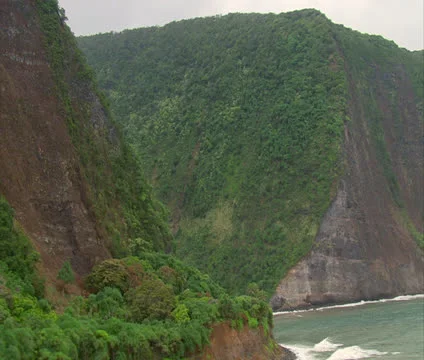 Hamakua Valley Video stock 22706372